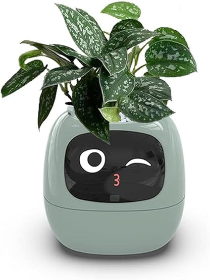 Smart Planter With Over 49 Rich Expressions 7 Smart Sensors And AI Chip