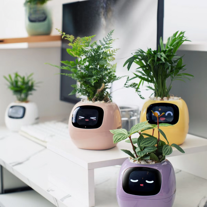 Smart Planter With Over 49 Rich Expressions 7 Smart Sensors And AI Chip