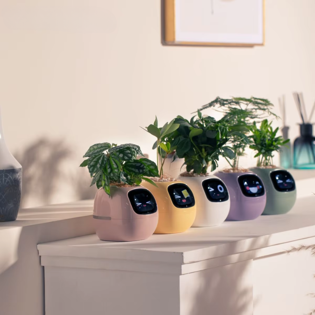 Smart Planter With Over 49 Rich Expressions 7 Smart Sensors And AI Chip