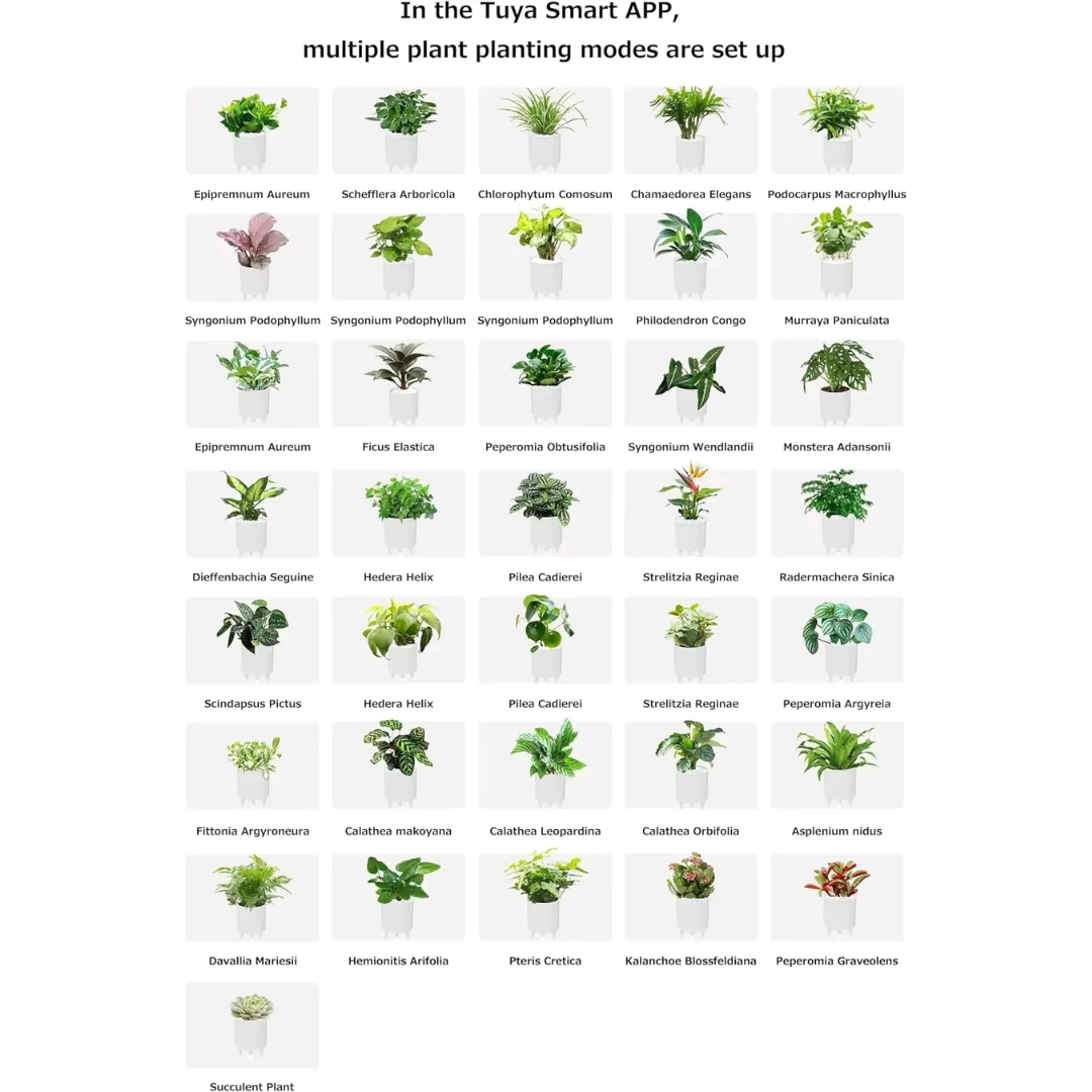 Smart Planter With Over 49 Rich Expressions 7 Smart Sensors And AI Chip