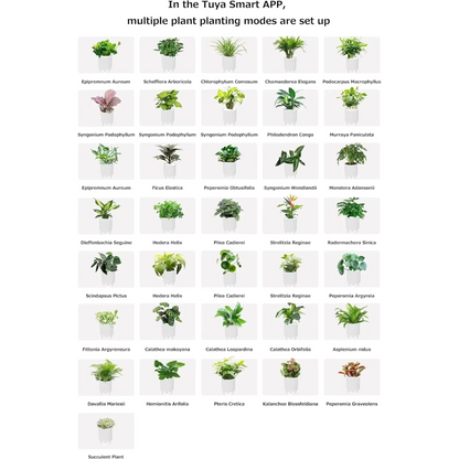 Smart Planter With Over 49 Rich Expressions 7 Smart Sensors And AI Chip