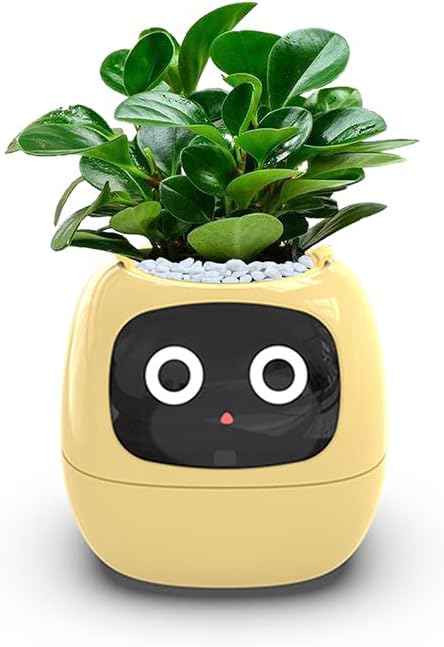 Smart Planter With Over 49 Rich Expressions 7 Smart Sensors And AI Chip